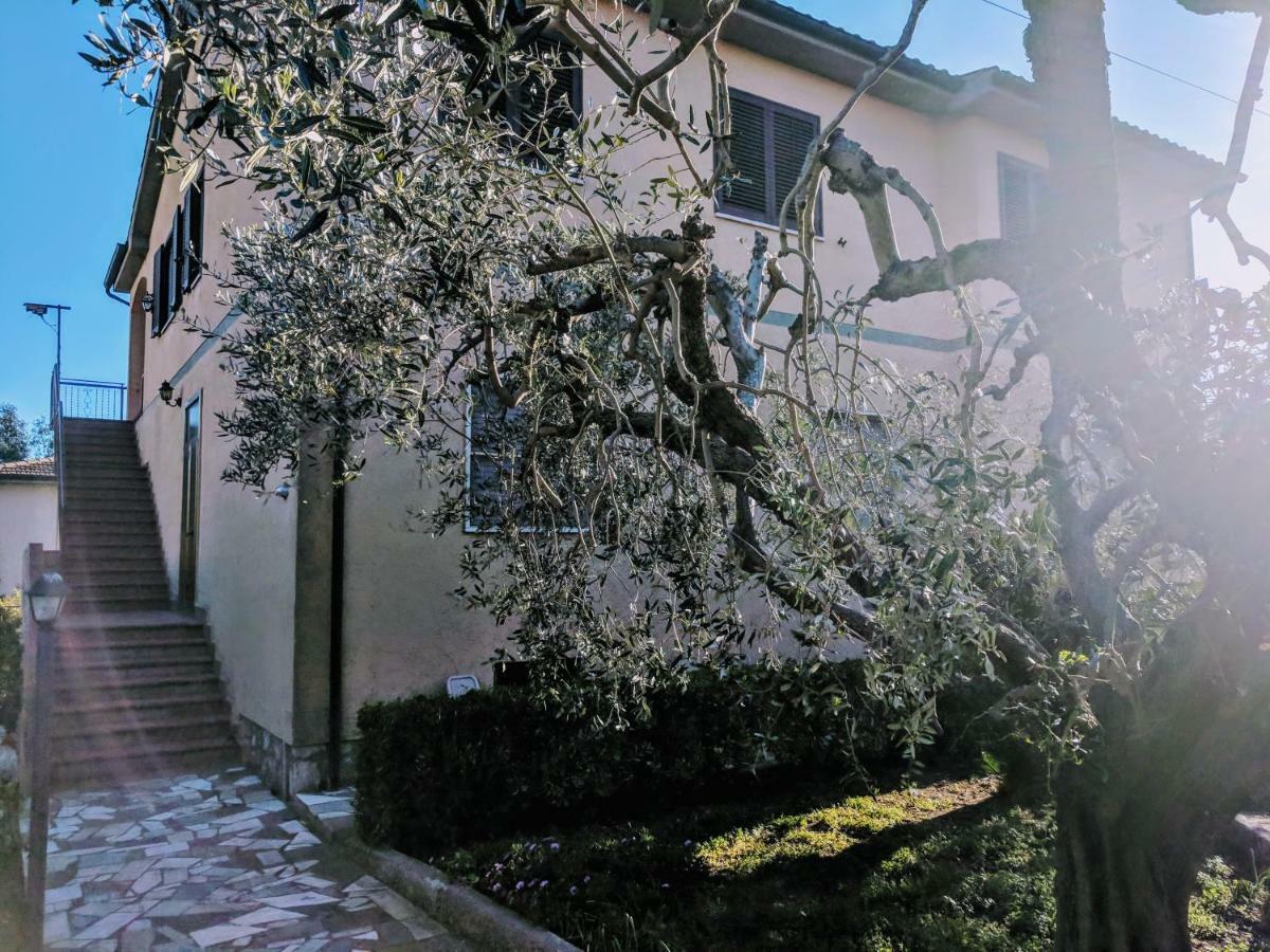 Maremmano Bnb Capalbio Dış mekan fotoğraf